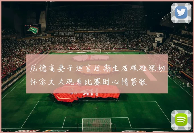 厄德高妻子坦言近期生活艰难深切怀念丈夫观看比赛时心情紧张